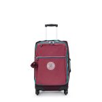 Darcey Small Carry-On Rolling Luggage