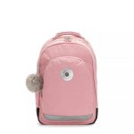 Classroom 17 Laptop Backpack