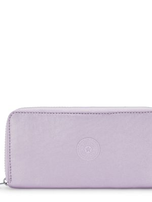 Money World Metallic Wallet