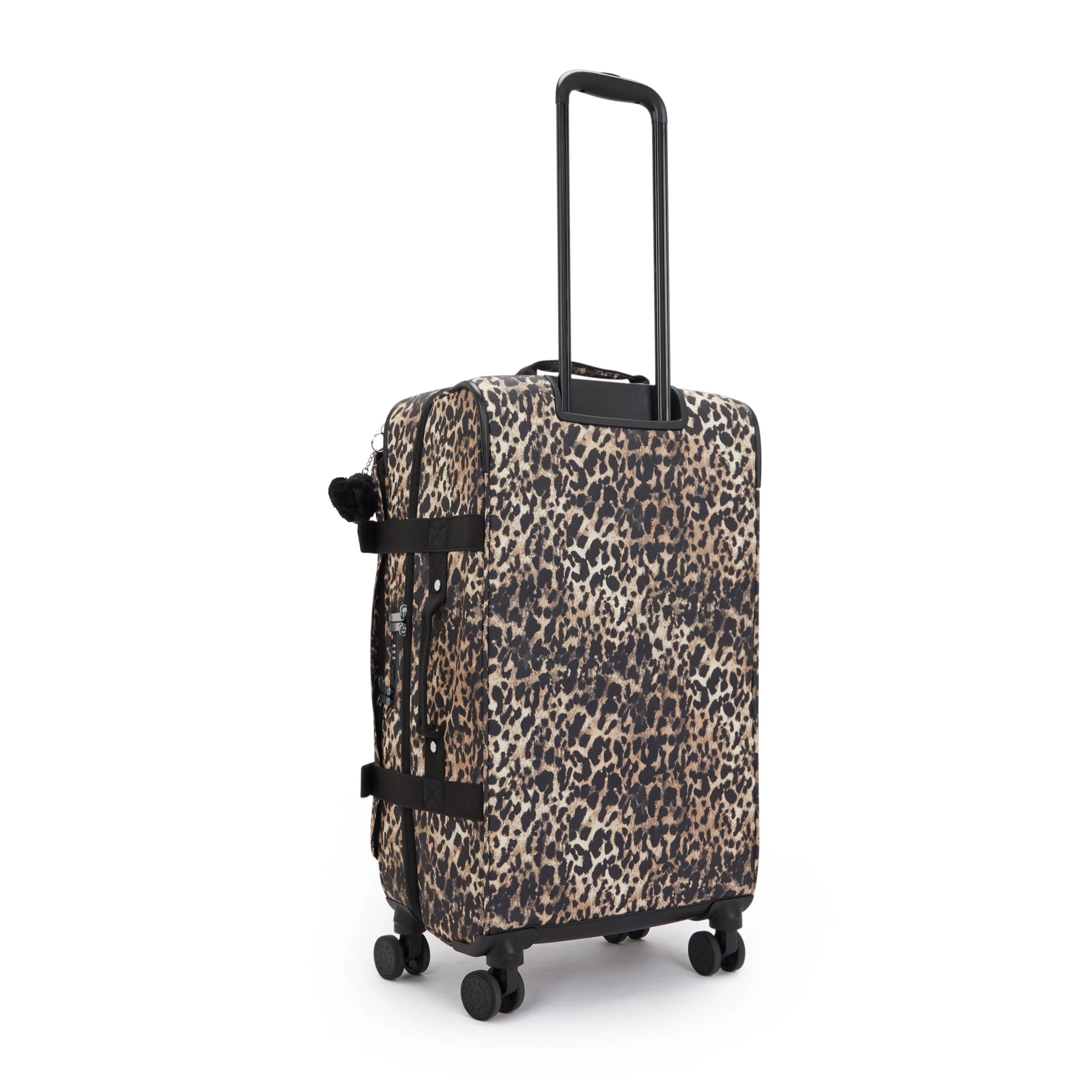 Spontaneous Medium Printed Rolling Luggage - 图片 3