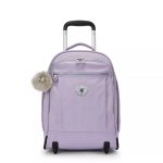 Gaze Large Rolling Backpack