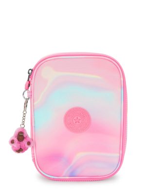 100 Pens Printed Case