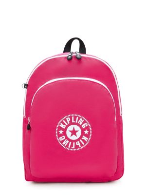 Curtis Large 17 Laptop Backpack